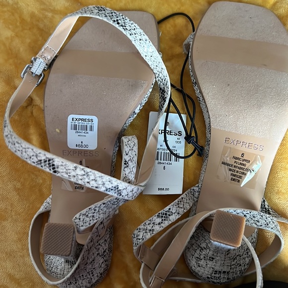 Small heel snake tan and black - Picture 5 of 5